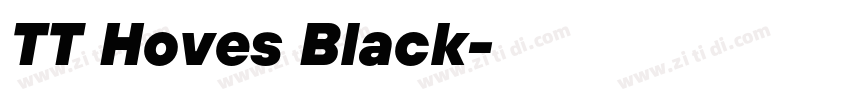 TT Hoves Black字体转换